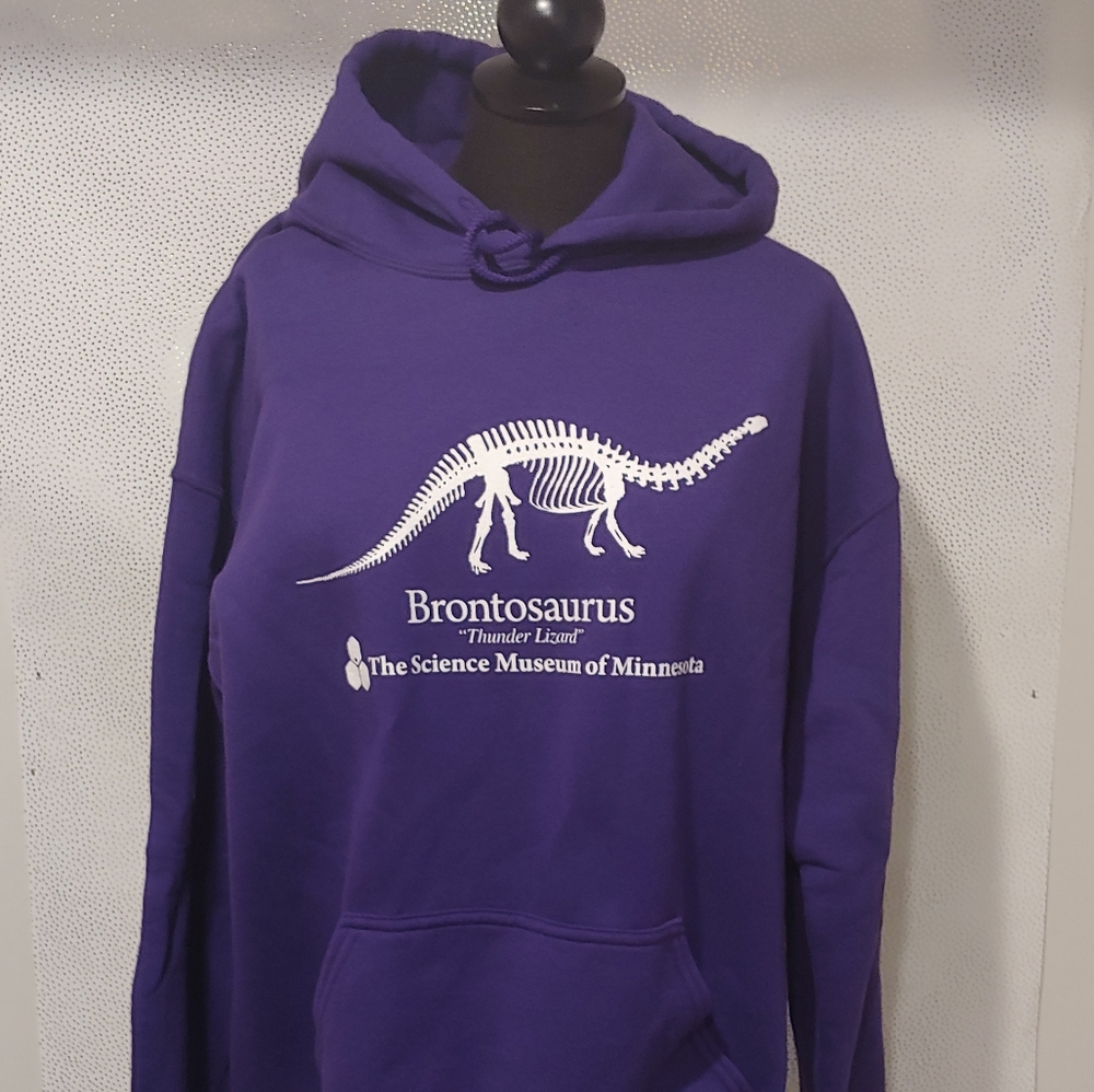 STRANGER THINGS Dinosaur Hoodie Sweatshirt